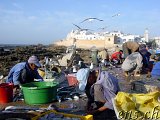  Das Hafengebiet von Essaouira 