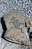Petroglyphs @ Puako