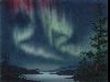  Aurora - Nordlicht - Polarlicht 