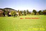  LP Kriens 