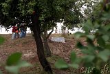 BTT2008 : Buschtaxi-Treffen 2008