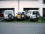  Nachtessen bei Fongs 