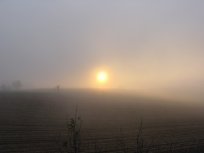  Sonnenuntergang in Zollikofen/BE 