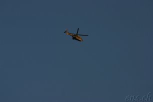  Swiss Army : Super Puma Cougar 