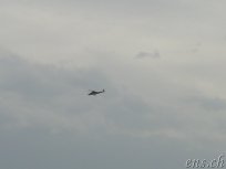 Agusta - REGA