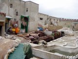  Die kleine Tannerie von Tetouan 