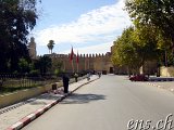  Fes 