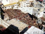  Tannerie Chouara Fes 