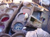  Tannerie Chouara Fes 