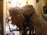  Tannerie Chouara Fes 