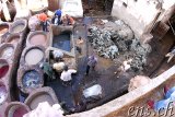  Tannerie Chouara Fes 