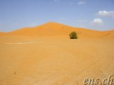  Gleitschirm-Düne Erg Chebbi 