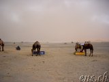  Erg Chebbi : Heranrückender Sandsturm 