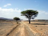  Taouz Richtung Zagora 