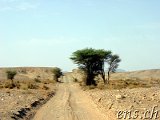  Taouz Richtung Zagora 