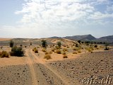  Taouz Richtung Zagora 