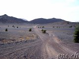  Taouz Richtung Zagora 