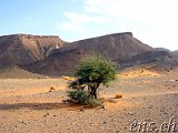  Taouz Richtung Zagora 