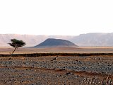  Taouz Richtung Zagora 
