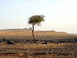  Taouz Richtung Zagora 