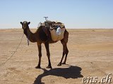  Erg el M‘hazil 