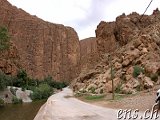  Todra-Schlucht 