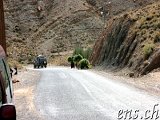  ... und weiter Richtung Agadir 