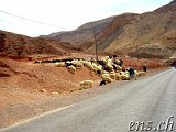  ... und weiter Richtung Agadir 