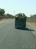  ... und weiter Richtung Agadir 