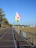  Agadir 