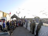  Das Hafengebiet von Essaouira 