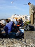  Das Hafengebiet von Essaouira 