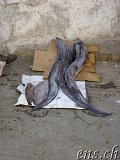 Das Hafengebiet von Essaouira 