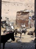 Marrakech 