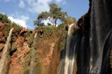  Cascades d Ouzoud 