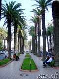  Casablanca 