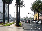  Casablanca 