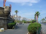 Casablanca 