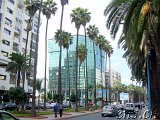  Casablanca 