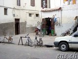  Casablanca 