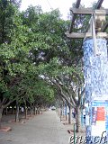  Casablanca 