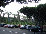  Casablanca 