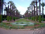  Casablanca 