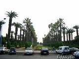  Casablanca 