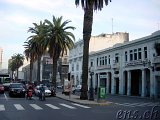  Casablanca 