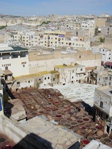  Fes 