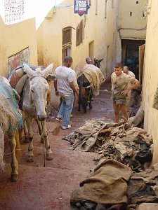  Fes 