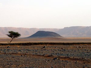  Taouz Richtung Zagora 