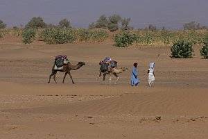  Erg el Mhazil 