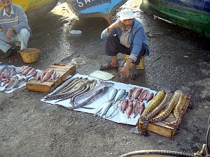  Essaouira 